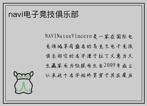 navi电子竞技俱乐部